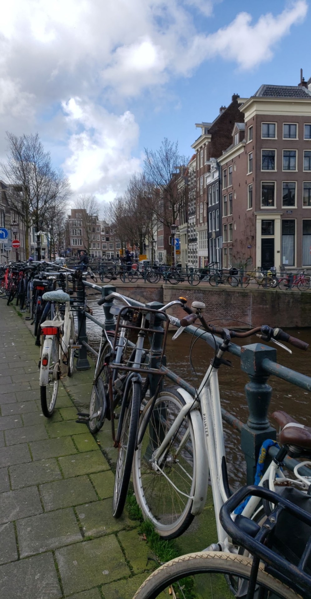 Bikes on every railing — the city's real transport system