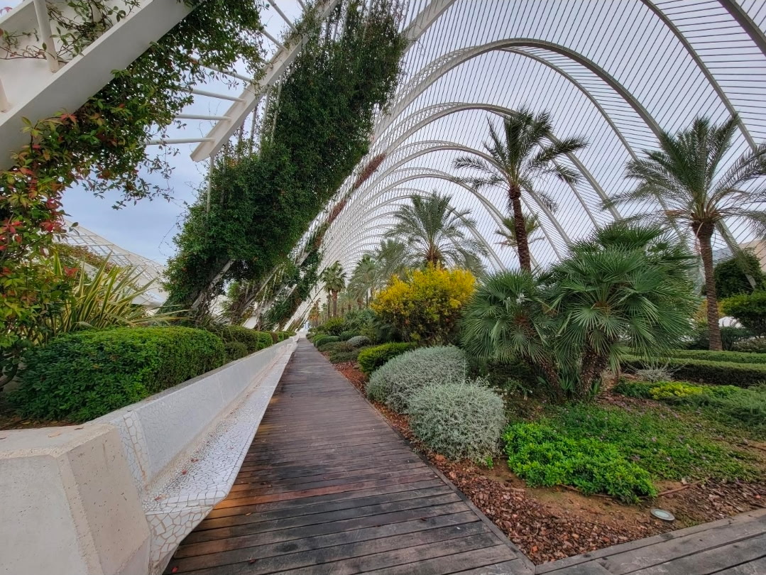 Walking the Umbracle garden walkway, Valencia