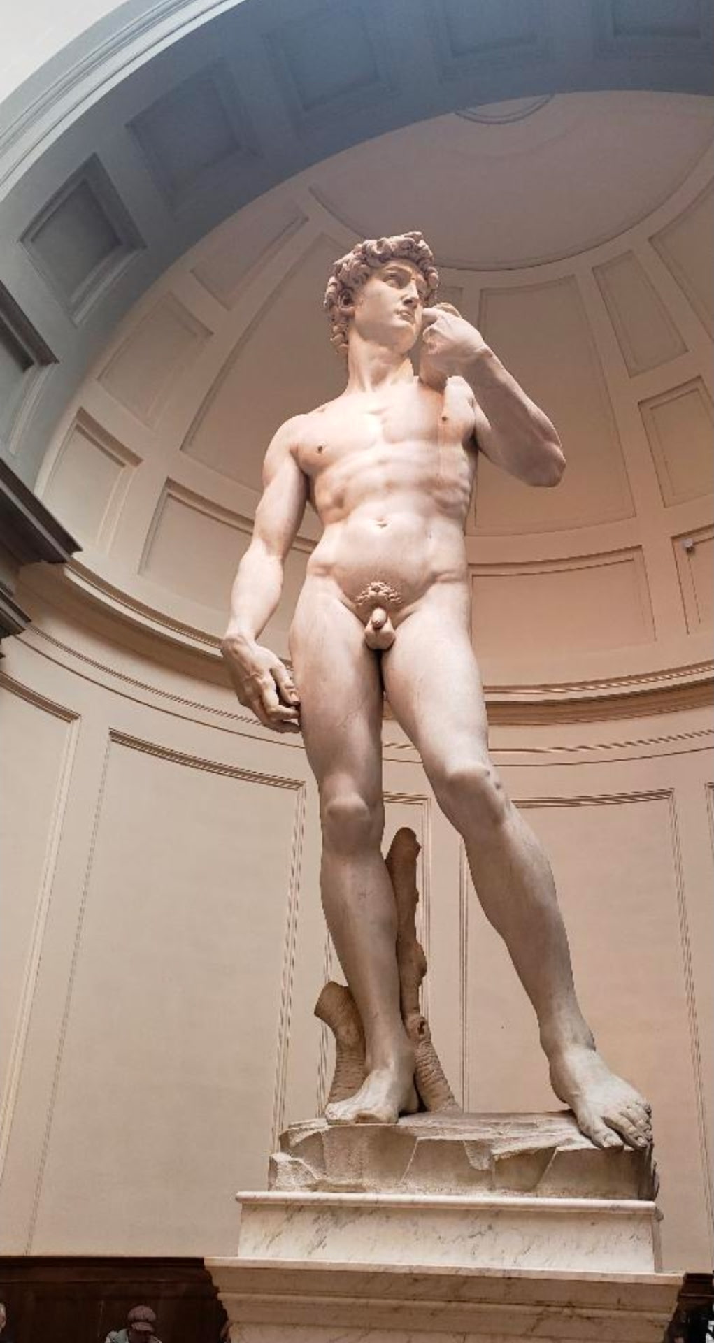 Michelangelo's David under the dome at the Galleria dell'Accademia