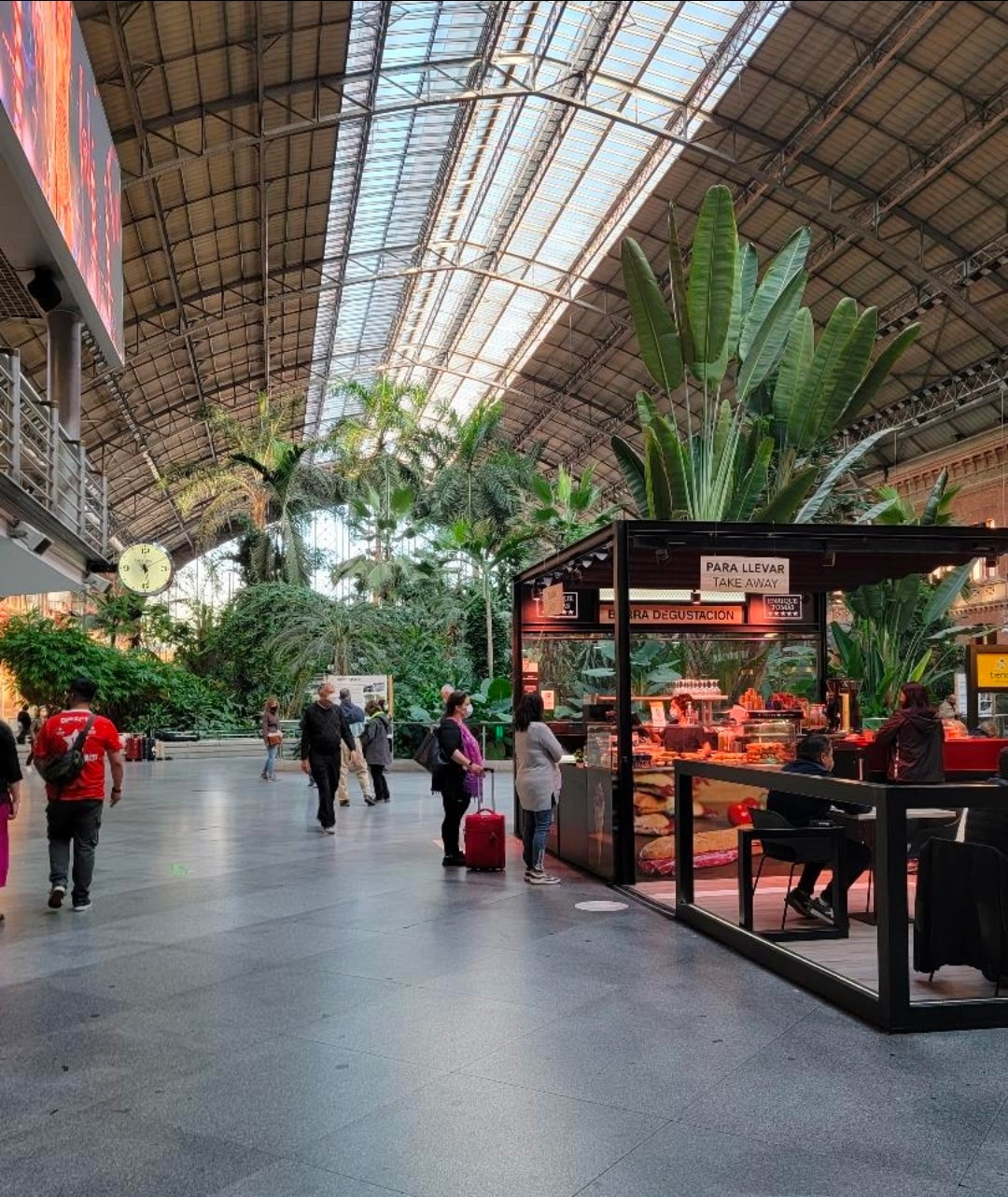 Madrid Atocha — a train station that doubles as a jungle