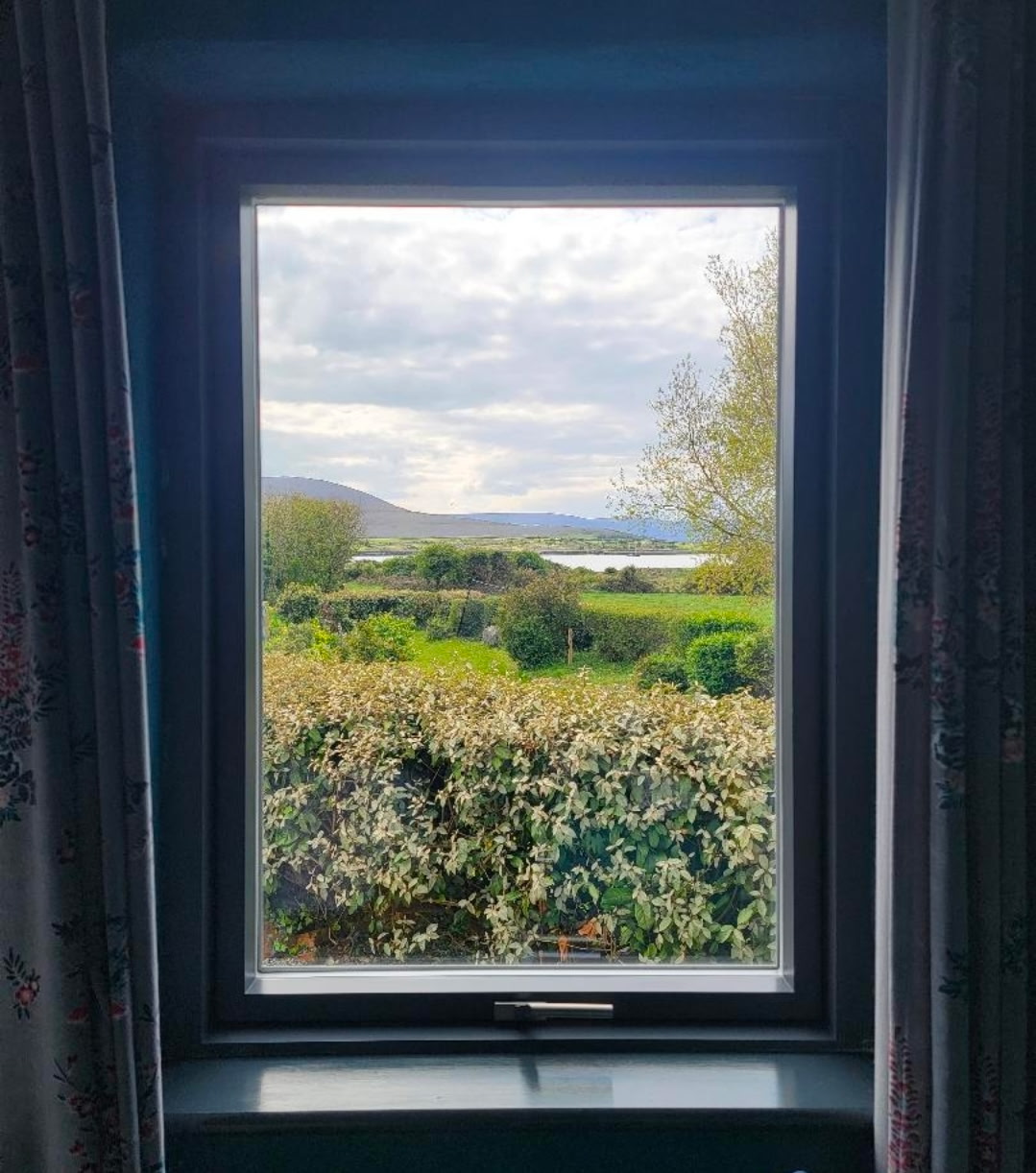 Morning from our west-coast B&B window